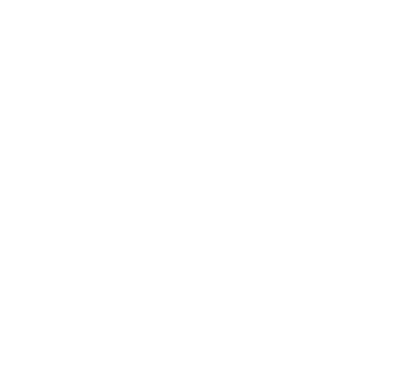 Partner IGVM Logo